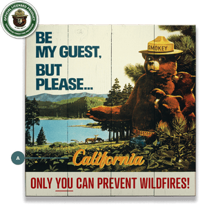Smokey Bear 1967 Be My Guest: Personalized - Wood & Metal Wall Art Wood & Metal Wall Art Smokey Bear Wood 10.5" x 10.5"
