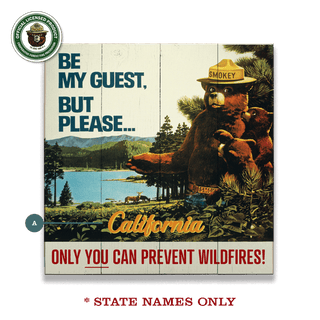 Smokey Bear 1967 Be My Guest: Personalized - Wood & Metal Wall Art Wood & Metal Wall Art Smokey Bear Wood 10.5" x 10.5"
