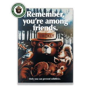 Smokey Bear 1980 Remember You're Among Friends - Wood & Metal Wall Art Wood & Metal Wall Art Smokey Bear Wood 9" x 12"