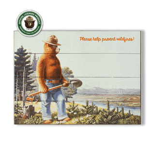 Smokey Bear 1984 On Guard: Generic - Wood & Metal Wall Art Wood & Metal Wall Art Smokey Bear Wood 9" x 12"