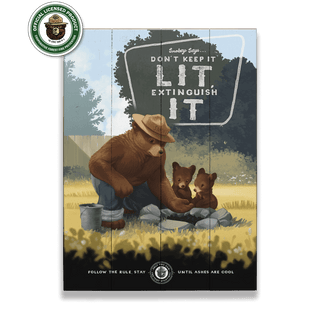Smokey Bear 2017 Extinguish It - Wood & Metal Wall Art Wood & Metal Wall Art Smokey Bear Wood 9" x 12"