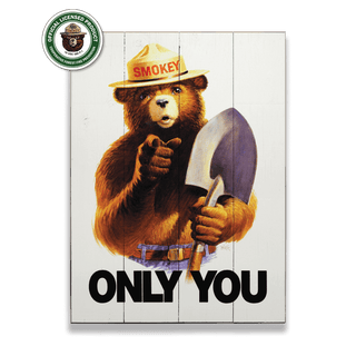 Smokey Bear 1985 Only You - Wood & Metal Wall Art Wood & Metal Wall Art Smokey Bear Wood 9" x 12"