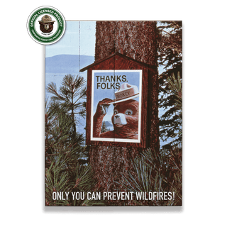 Smokey Bear 1967 Thanks Folks - Wood & Metal Wall Art Wood & Metal Wall Art Smokey Bear Wood 9" x 12"