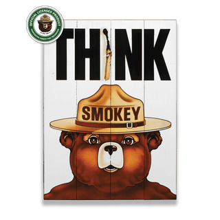 Smokey Bear 1974 Think Poster: Generic - Wood & Metal Wall Art Wood & Metal Wall Art Smokey Bear Wood 9" x 12"
