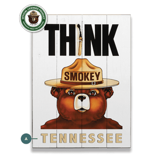 Smokey Bear 1974 Think Poster: Personalized - Wood & Metal Wall Art Wood & Metal Wall Art Smokey Bear Wood 9" x 12"