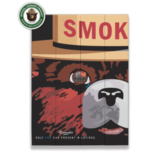 Smokey Bear 2007 Smokey Poster: Generic - Wood & Metal Wall Art Wood & Metal Wall Art Smokey Bear Wood 9" x 12"