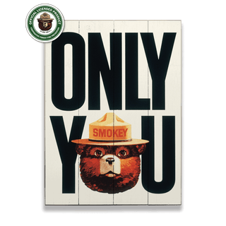 Smokey Bear 1981 Only You: Generic - Wood & Metal Wall Art Wood & Metal Wall Art Smokey Bear Wood 9" x 12"