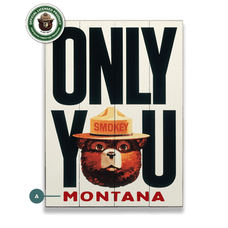 Smokey Bear 1981 Only You: Personalized - Wood & Metal Wall Art Wood & Metal Wall Art Smokey Bear Wood 9" x 12"