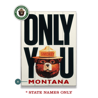 Smokey Bear 1981 Only You: Personalized - Wood & Metal Wall Art Wood & Metal Wall Art Smokey Bear Wood 9" x 12"