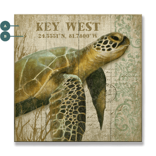 Reef Wanderers: The Mossy Turtle - Wood & Metal Wall Art Wood & Metal Wall Art Suzanne Nicoll Wood 10.5" x 10.5"