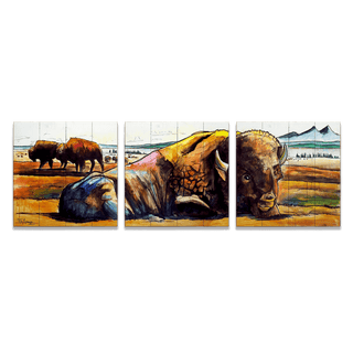 American Bison: 3-Piece Wood & Metal Wall Art Metal Box Wall Art Ed Anderson Wood 54" x 18"