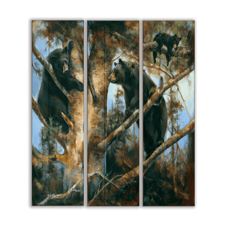 Bear Necessities: A Triptych of Nature - Wood & Metal Wall Art Wood & Metal Wall Art Marilynn Dwyer Mason