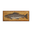 Brown Trout: Generic
