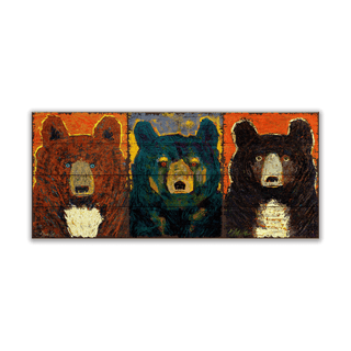 Bear Necessities: Colors of the Wild Triptych - Wood Plank Wall Art Wood & Metal Wall Art Shelle Lindholm